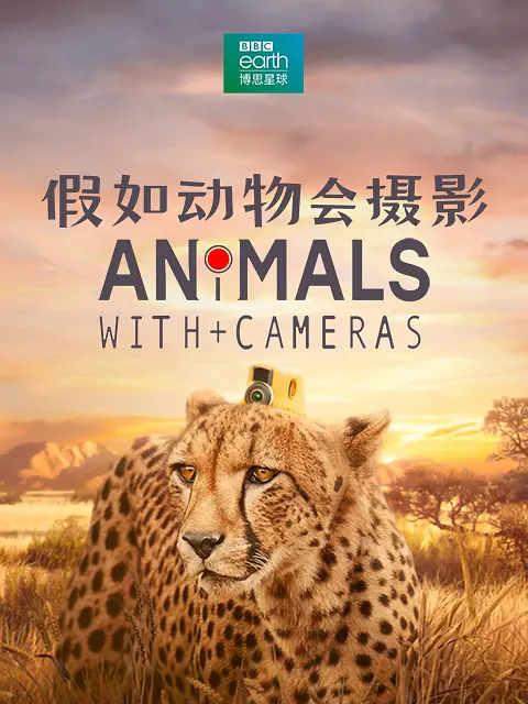 假如动物会摄影 第一季（2018）